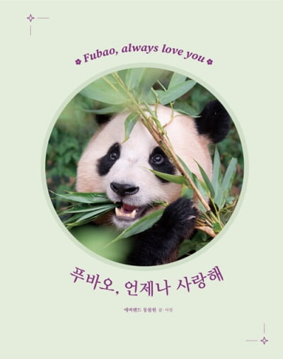'힐링'에서 '푸바오 팬덤'으로…요즘 읽히는 에세이의 공통점