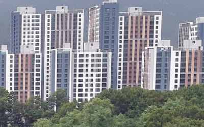 "10억이던 아파트값이 1년 만에"…서울 집값 뛰면 들썩이는 동네