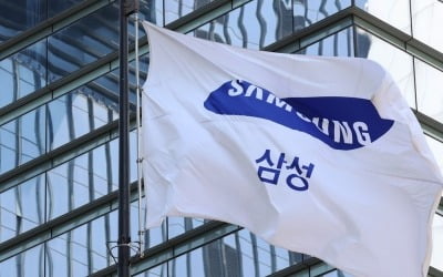 "미래사업 늦출 수 없다"…빅딜 재개한 삼성전자