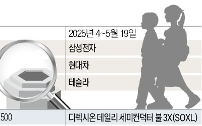 "이제 테슬라 대신 삼성전자에 장기투자"