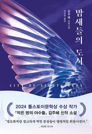 '톨스토이문학상' 김주혜 "전작이 교향곡이라면 새 소설은 협주곡"